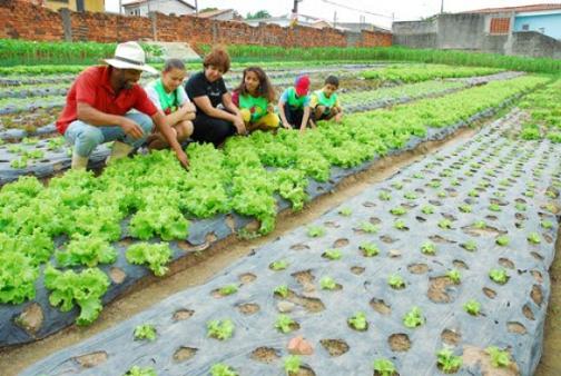 Agroinfluencers ajudam a promover a agricultura